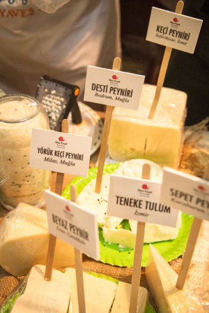 Turkish cheeses on display at Slow Cheese in Bodrum, photo by Filiz Telek