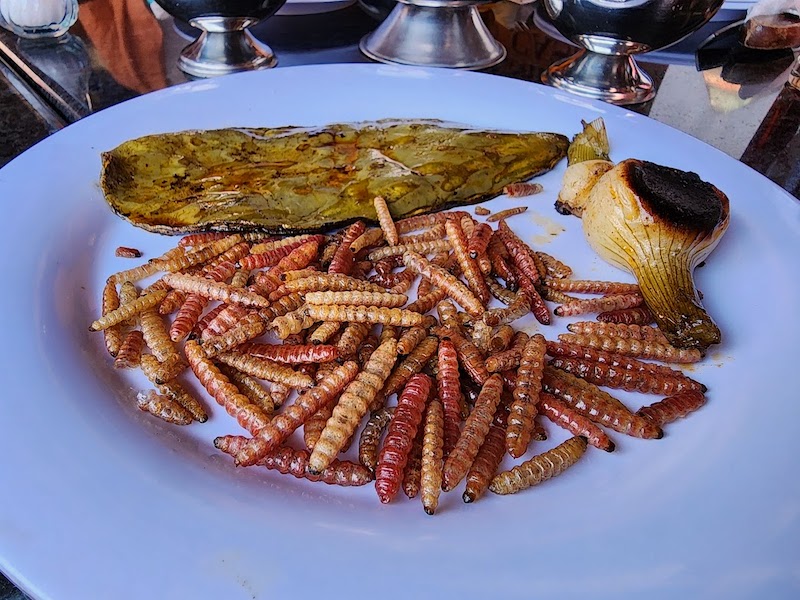 Chinicuiles, photo by Paco de Santiago
