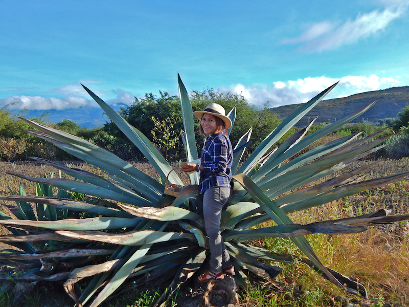 A&V La Casa del Pulque in Santiago Matatln - Culinary Backstreets